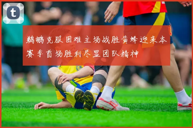 鹈鹕克服困难主场战胜黄蜂迎来本赛季首场胜利尽显团队精神